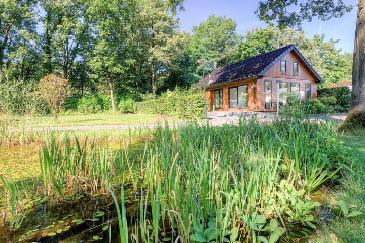 Comfortable holiday home on De Veluwe