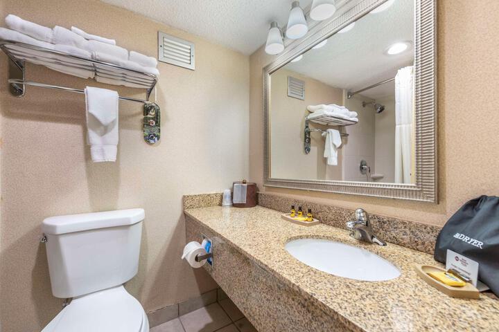 1 King Bed Love Seat Refrigerator WiFi Full Breakfast (6 of 18)