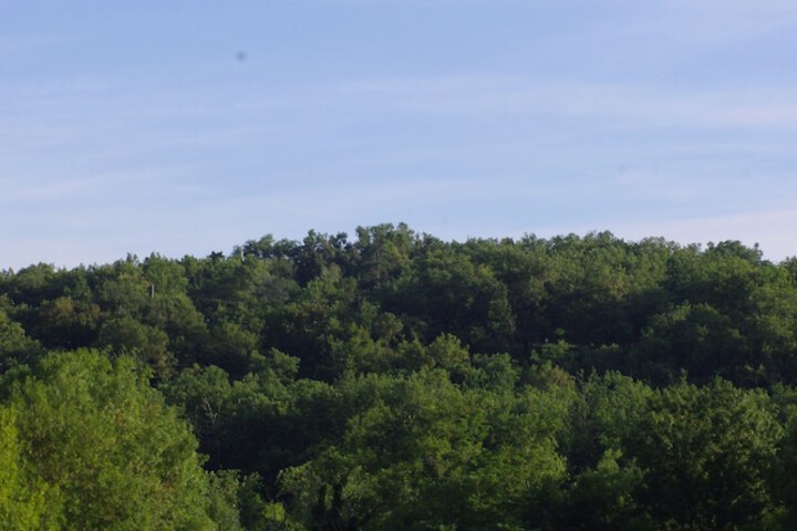 Outdoor Activities 19 of 35