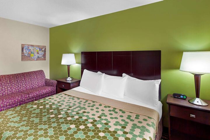 1 King Bed (6 of 28)