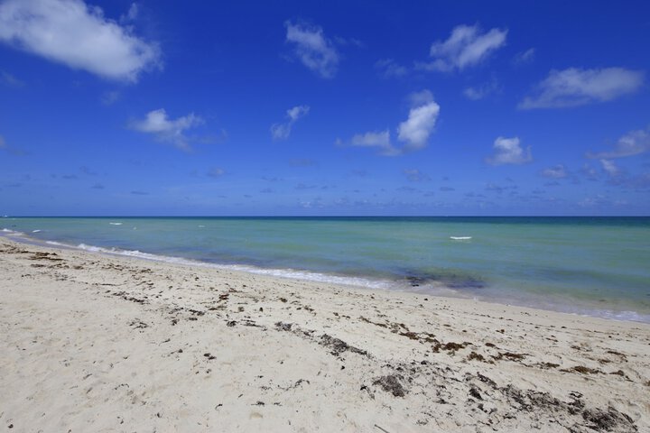 Beach 101 of 120