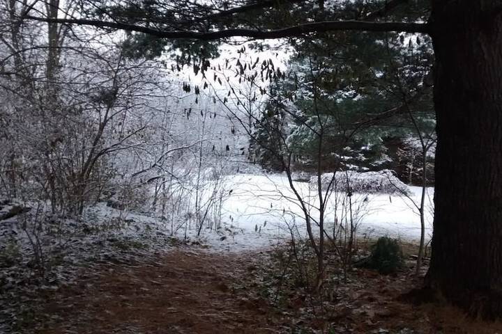 Property Grounds 36 of 46