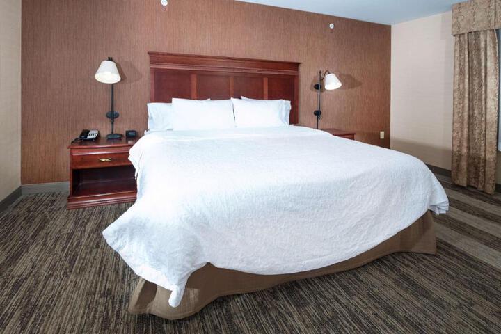 1 King Hearing Accessible Studio with Sofa Bed (13 of 30)