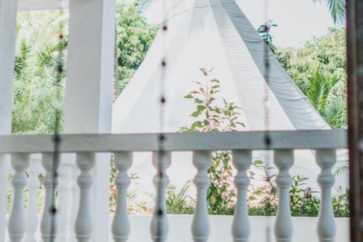 General 29 of 50