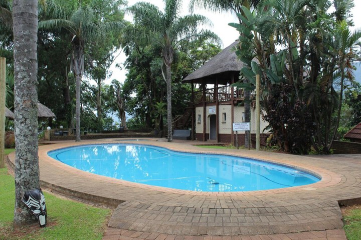 Pool 29 of 58
