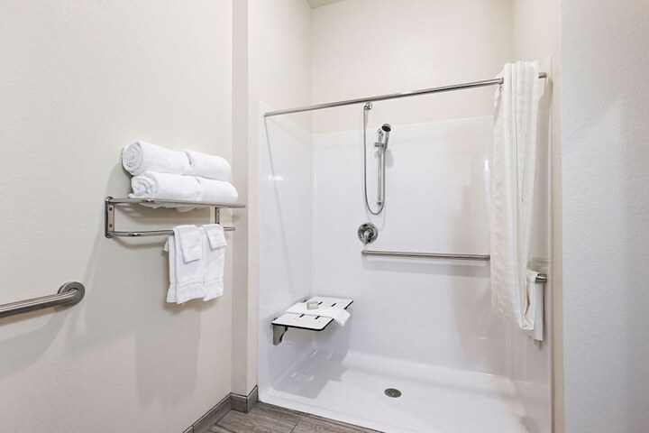 1 King Bed Accessible (9 of 32)