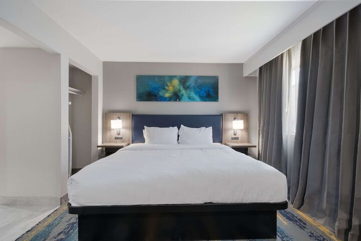 1 King Bed Accessible (22 of 45)