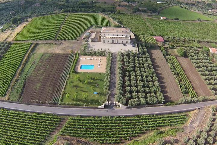 Feudo Vagliasindi -Wine Experience-