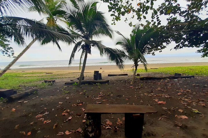 Beach 62 of 87