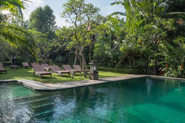 Spa and Wellness Pictures