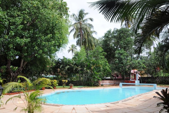 Hotel Pool
