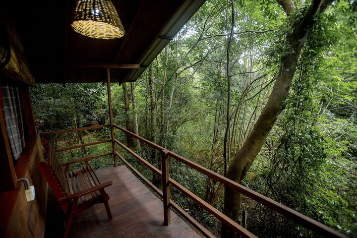 Inn on the Tree Eco Resort Sigiriya