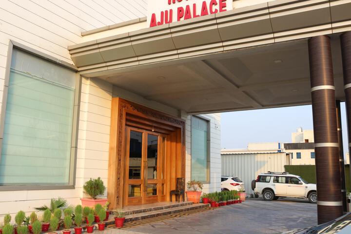 Hotel Aju Palace
