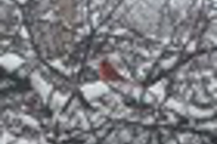Terrace/Patio 230 of 462