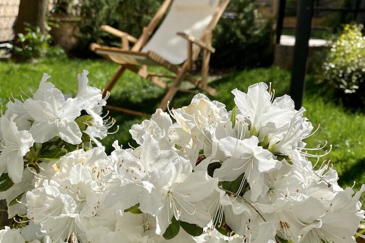 Hotel Exterior 51 of 53