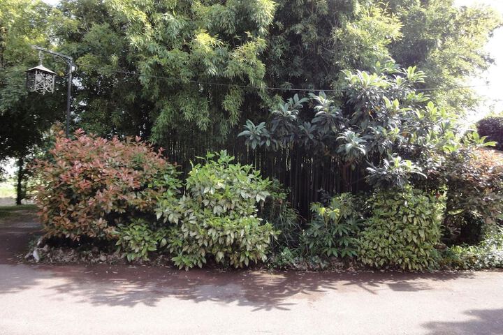 Property Grounds 36 of 53
