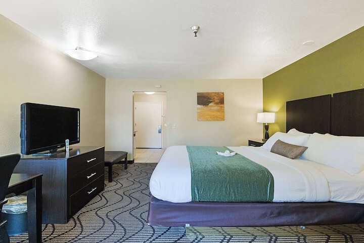 1 King Bed Deluxe Furnishings Sitting Area High Speed Internet Accessible Microwave (12 of 14)
