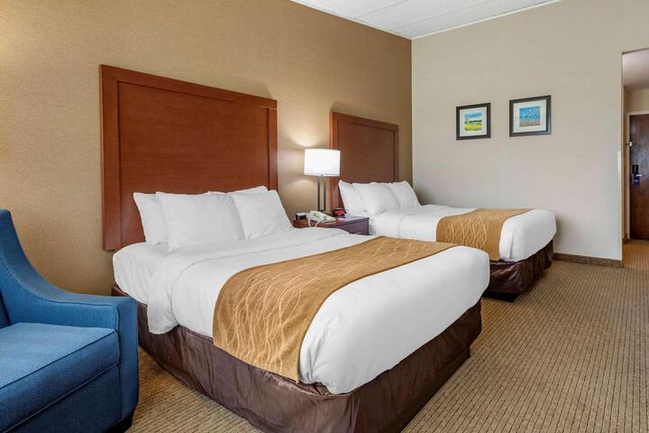 Standard Room, King or Two Doubles (5 of 8)
