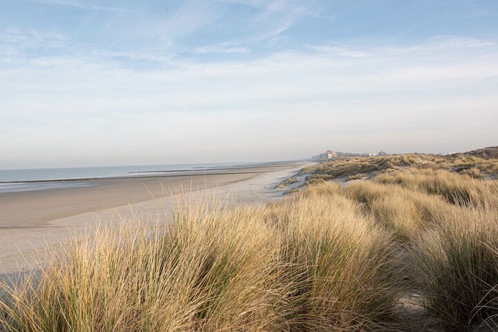 Beach 65 of 67
