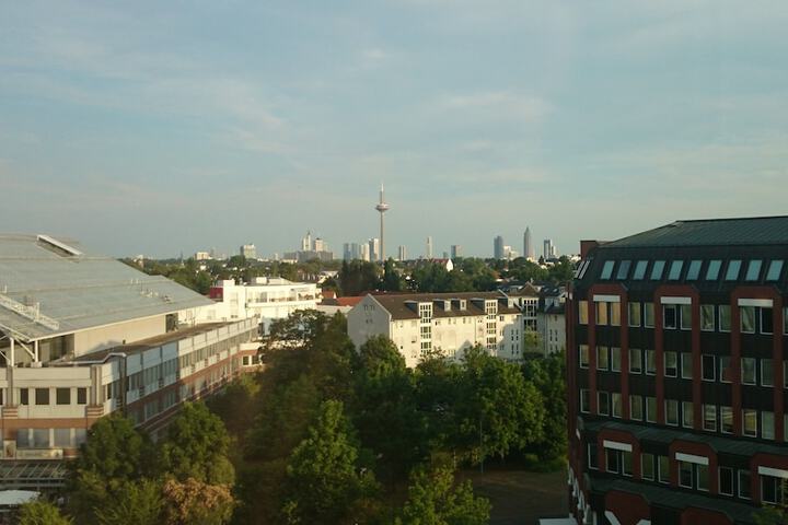 View from room