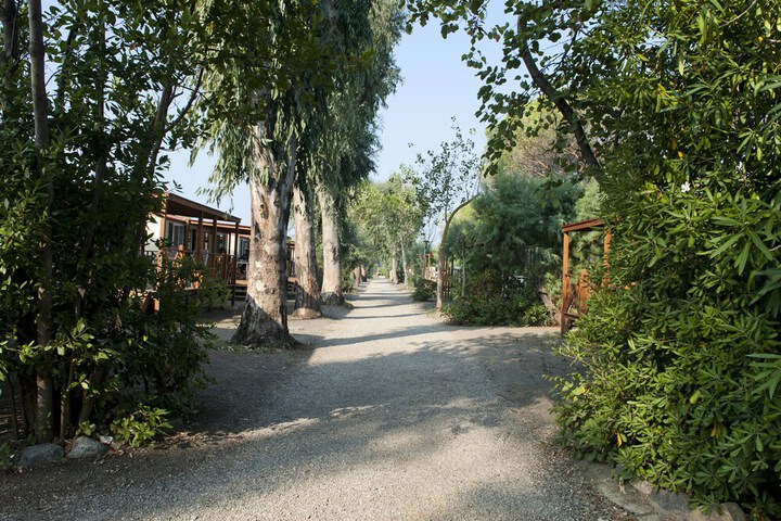 Property Grounds 19 of 37