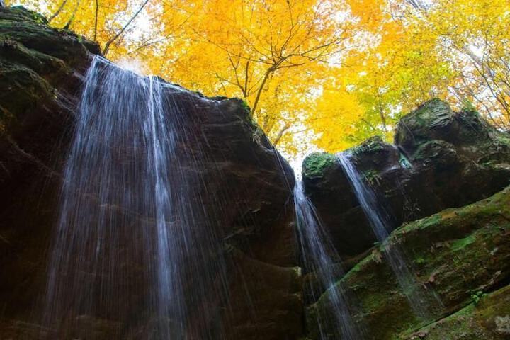 Property Grounds 29 of 32