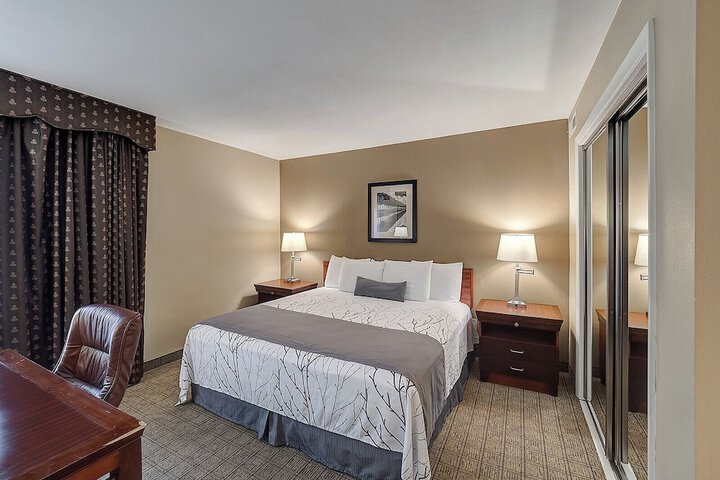 Double Accessible King Size Bed (11 of 24)