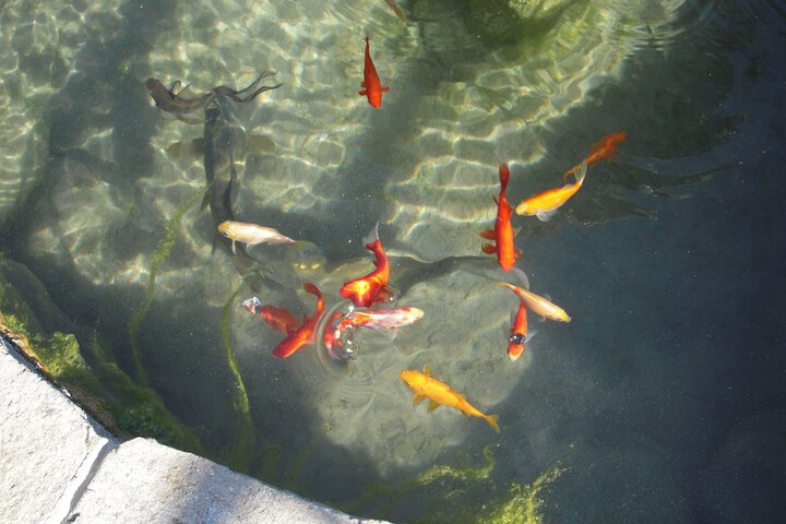 Ecotours