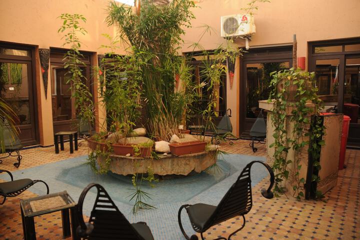 Wellness Treatments