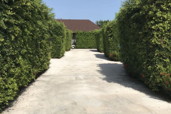 Property Grounds 12 of 16