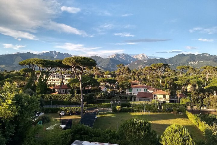View from room