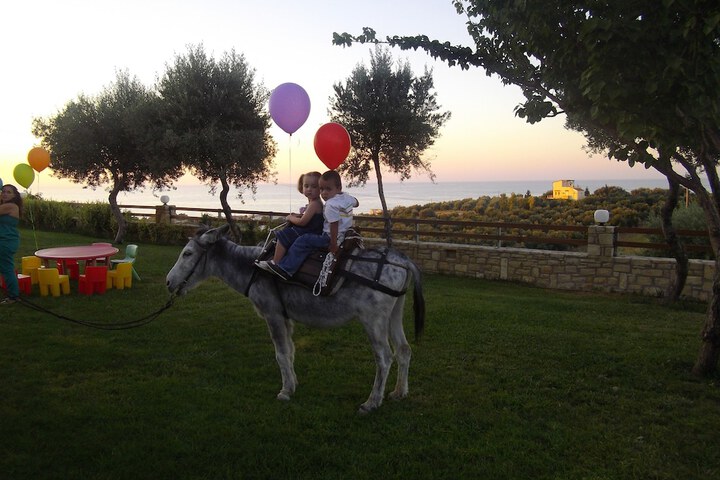 Horseback riding