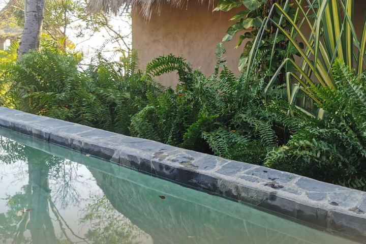 Pool 35 of 58