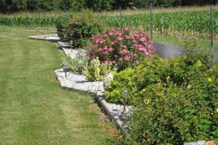 Photo 27