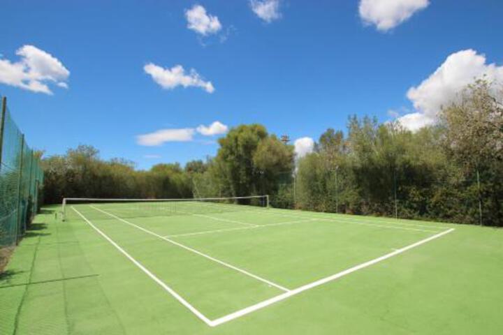 General 7 of 37