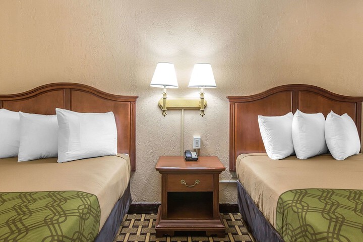 Standard Room, King or Two Doubles (4 of 12)