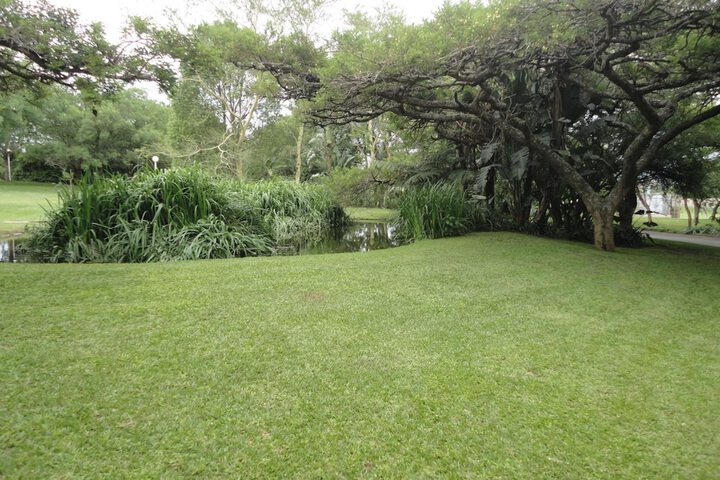 Property Grounds 51 of 57
