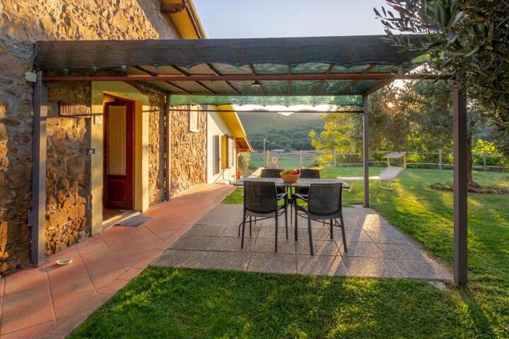 Spa and Wellness Pictures