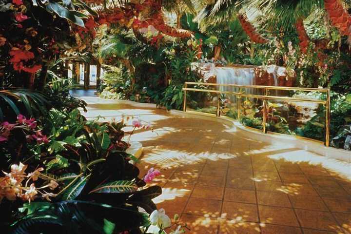 Indoor wedding