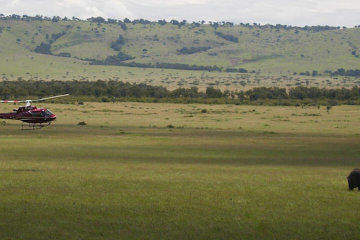 Game viewing