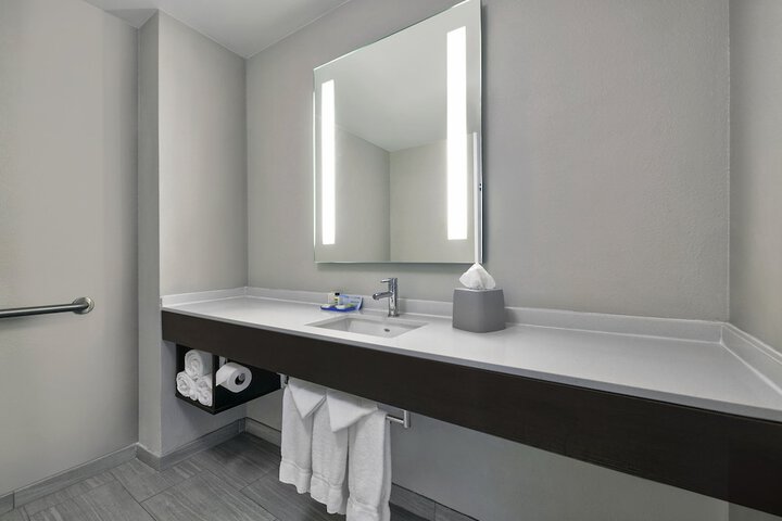 1 King Bed Suite Mobility Accessible Roll Shower (11 of 11)