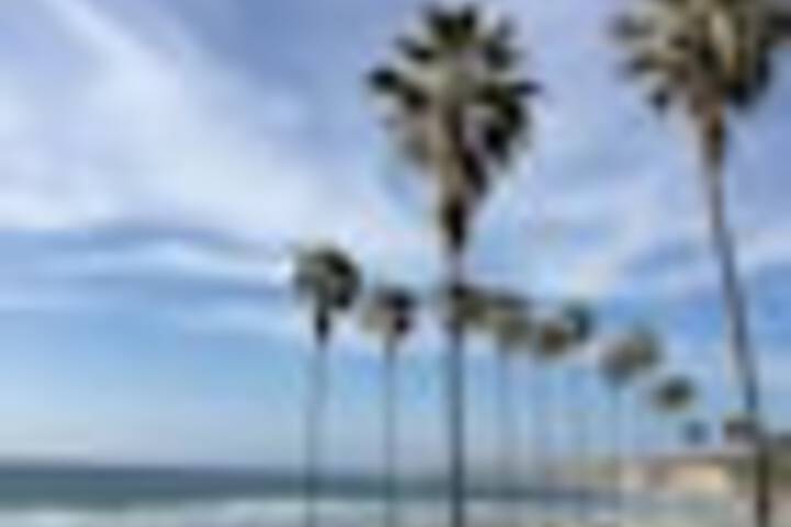 Beach 281 of 426