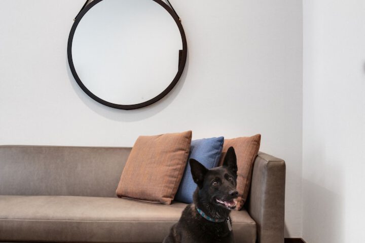 Pet-friendly