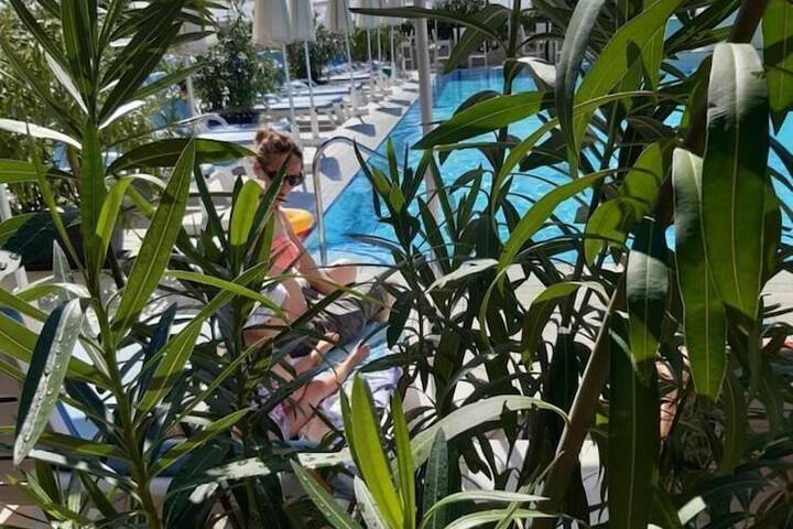 Pool to Cool