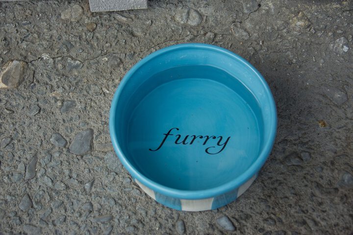 Pet-friendly