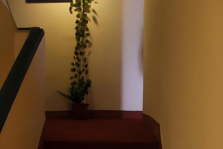 Hotel Holy Temple Tree