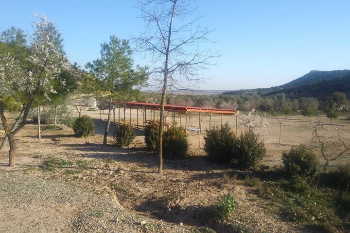 Property Grounds 43 of 52