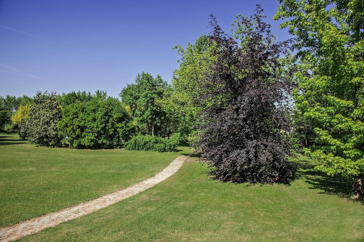 Property Grounds 37 of 43