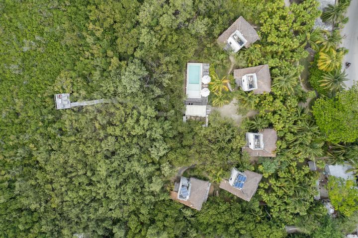 Vida Silvestre Tulum in Tulum