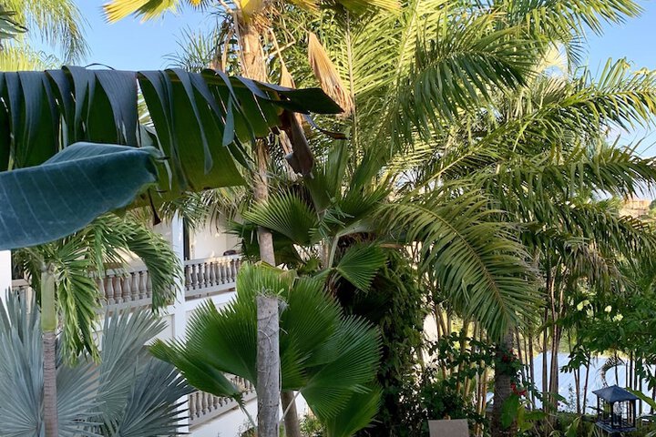 Property Grounds 55 of 67